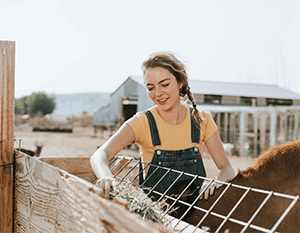 What do the Banking Royal Commission findings mean for Australian Small Business and Agribusiness?
