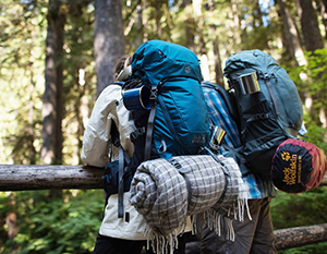 How to report 'backpacker's tax' in Wages Manager payroll software