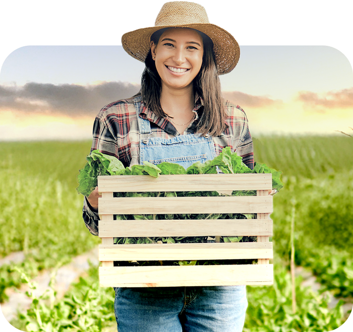 Cashflow Manager can send your BAS directly to the ATO